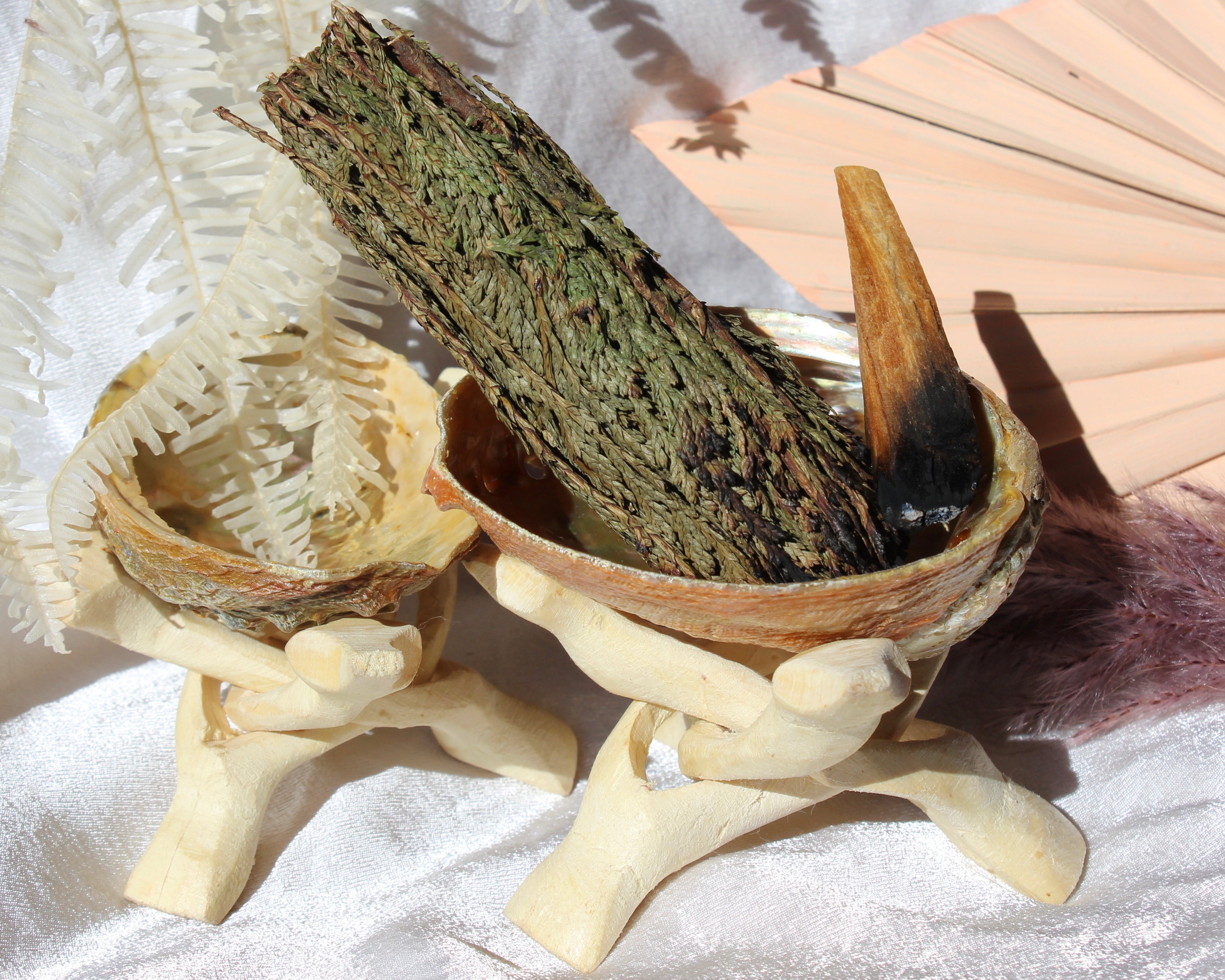 Abalone shell, abalone shell for sale, Smudge stick, Crystal Shop, Online Crystals Shop DeadNova, TikTok Crystals Shop, Palo Santo