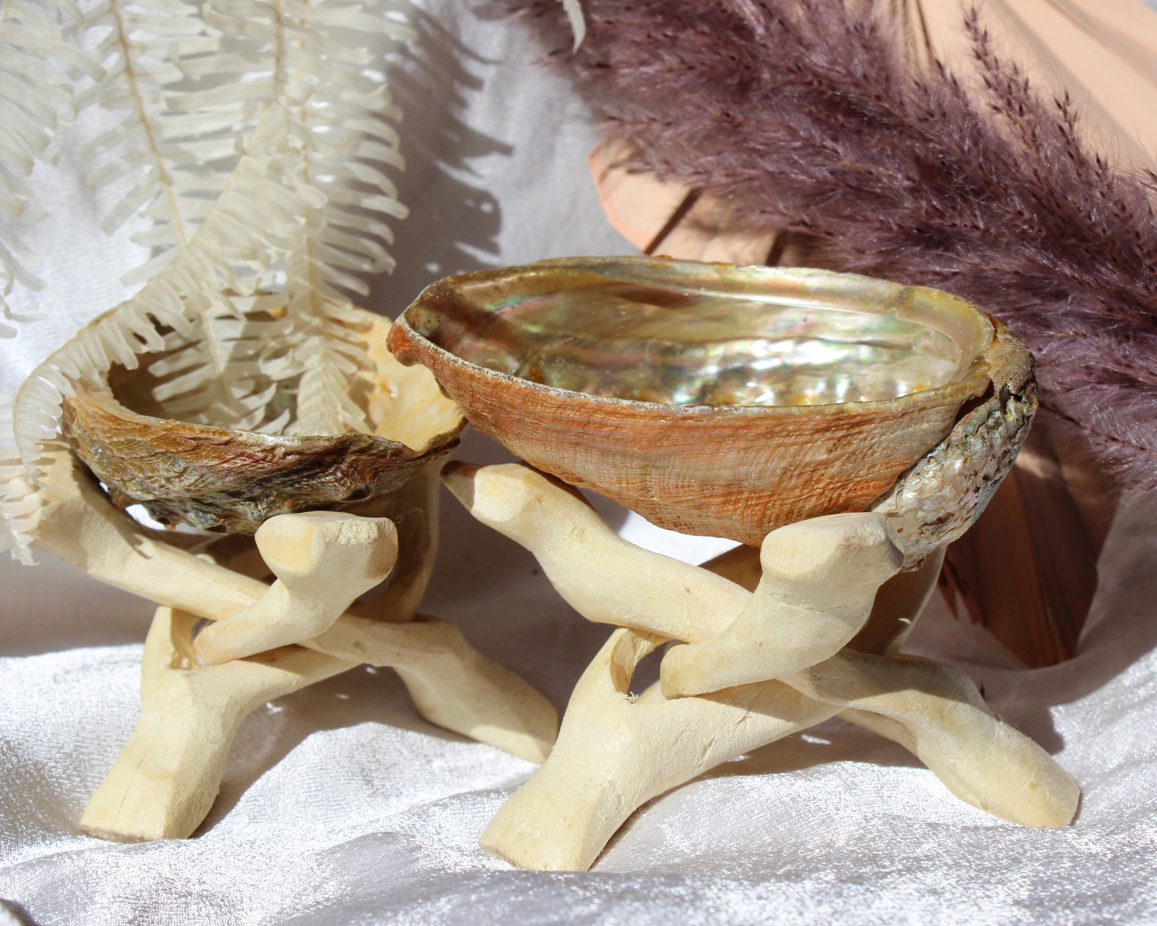 Abalone shell, abalone shell for sale, Smudge stick, Crystal Shop, Online Crystals Shop DeadNova, TikTok Crystals Shop