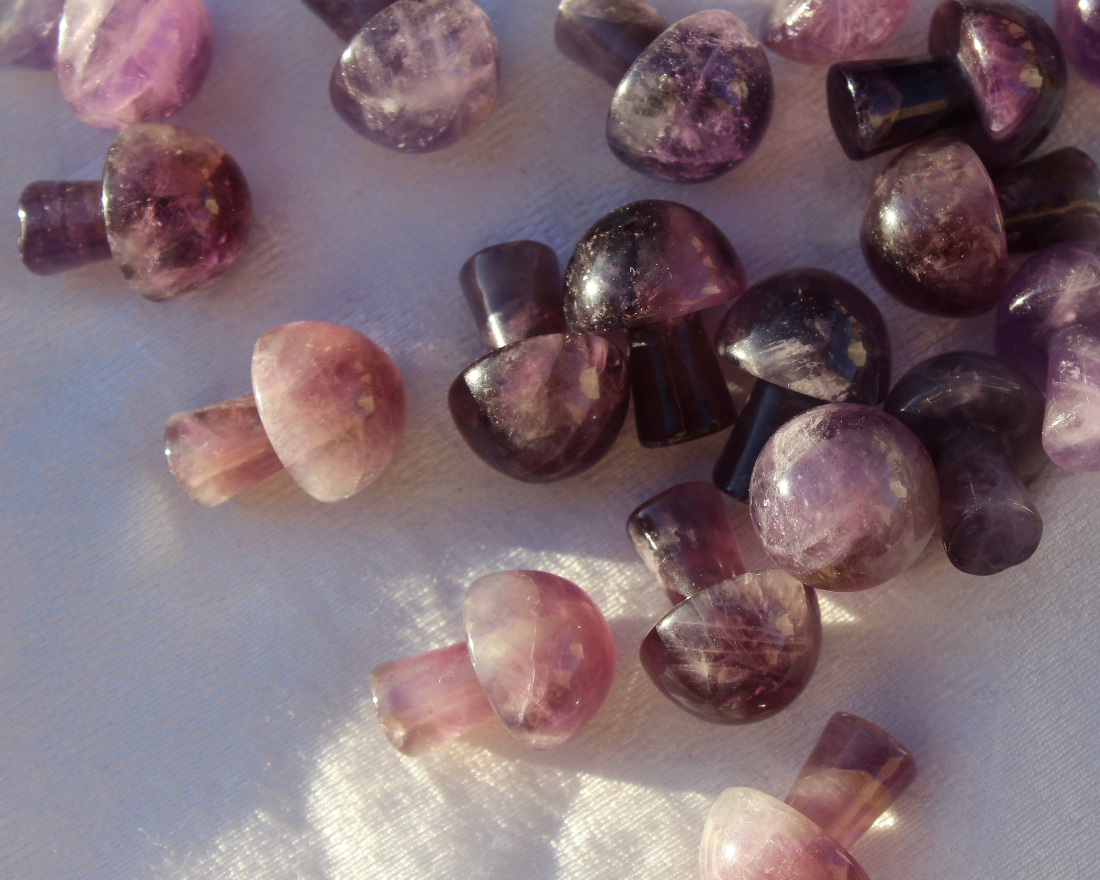Amethyst Mushrooms
