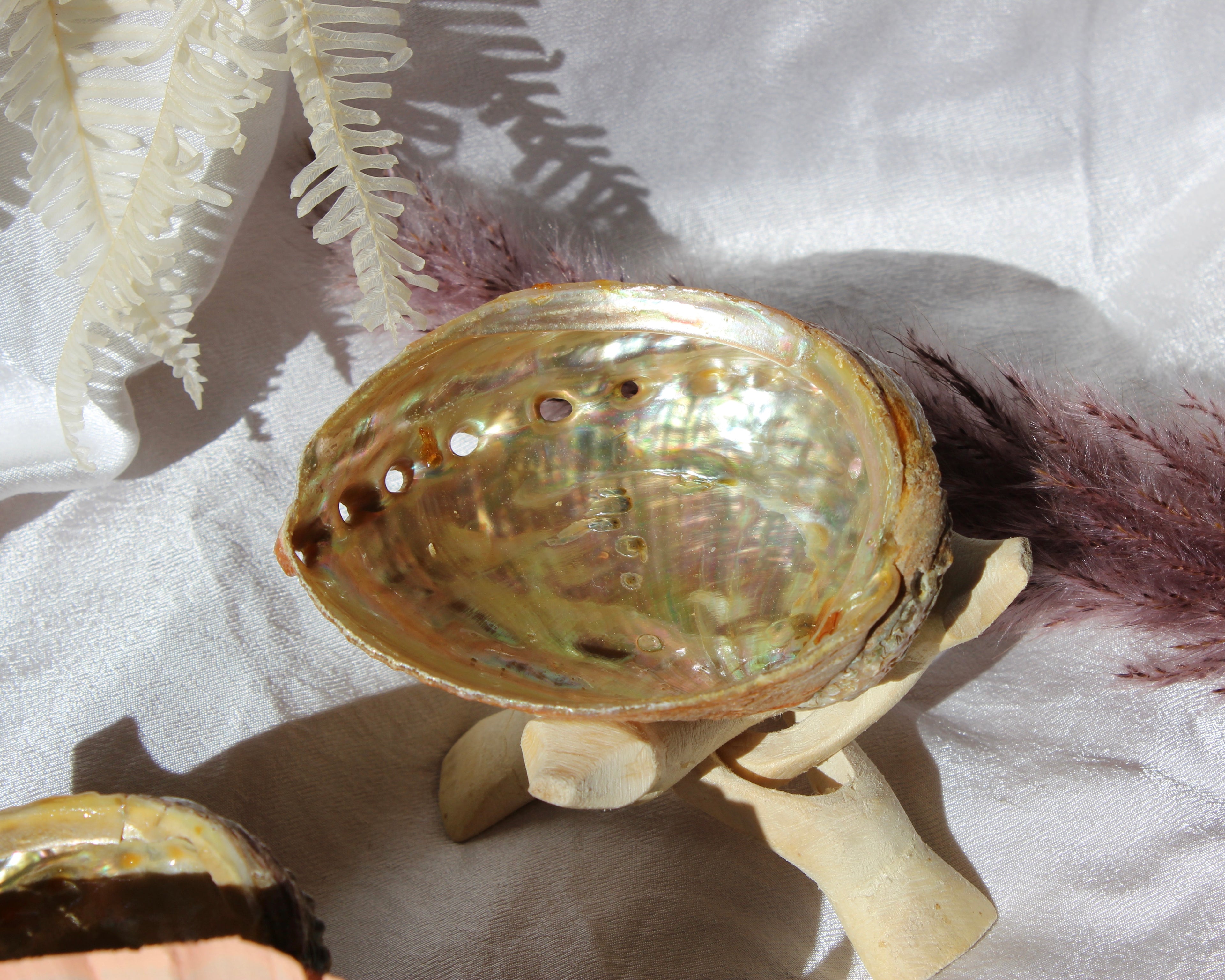 Abalone shell, abalone shell for sale, Smudge stick, Crystal Shop, Online Crystals Shop DeadNova, TikTok Crystals Shop, Palo Santo