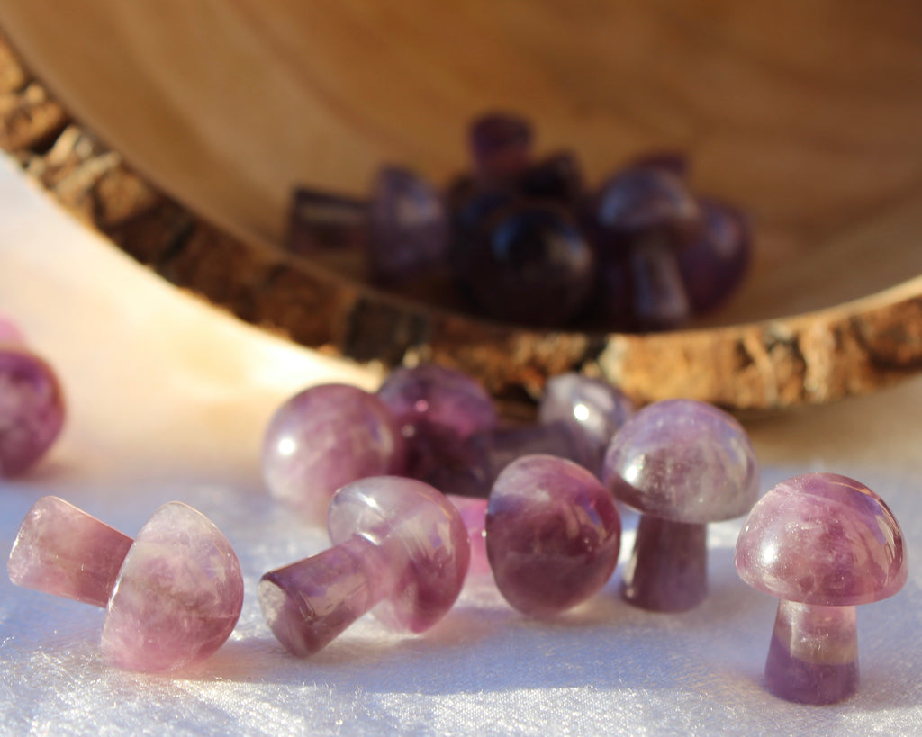 Amethyst Mushrooms, Crystal Mushrooms, Smudge stick, Crystal Shop, Online Crystals Shop DeadNova, TikTok Crystals Shop, benefits of amethyst