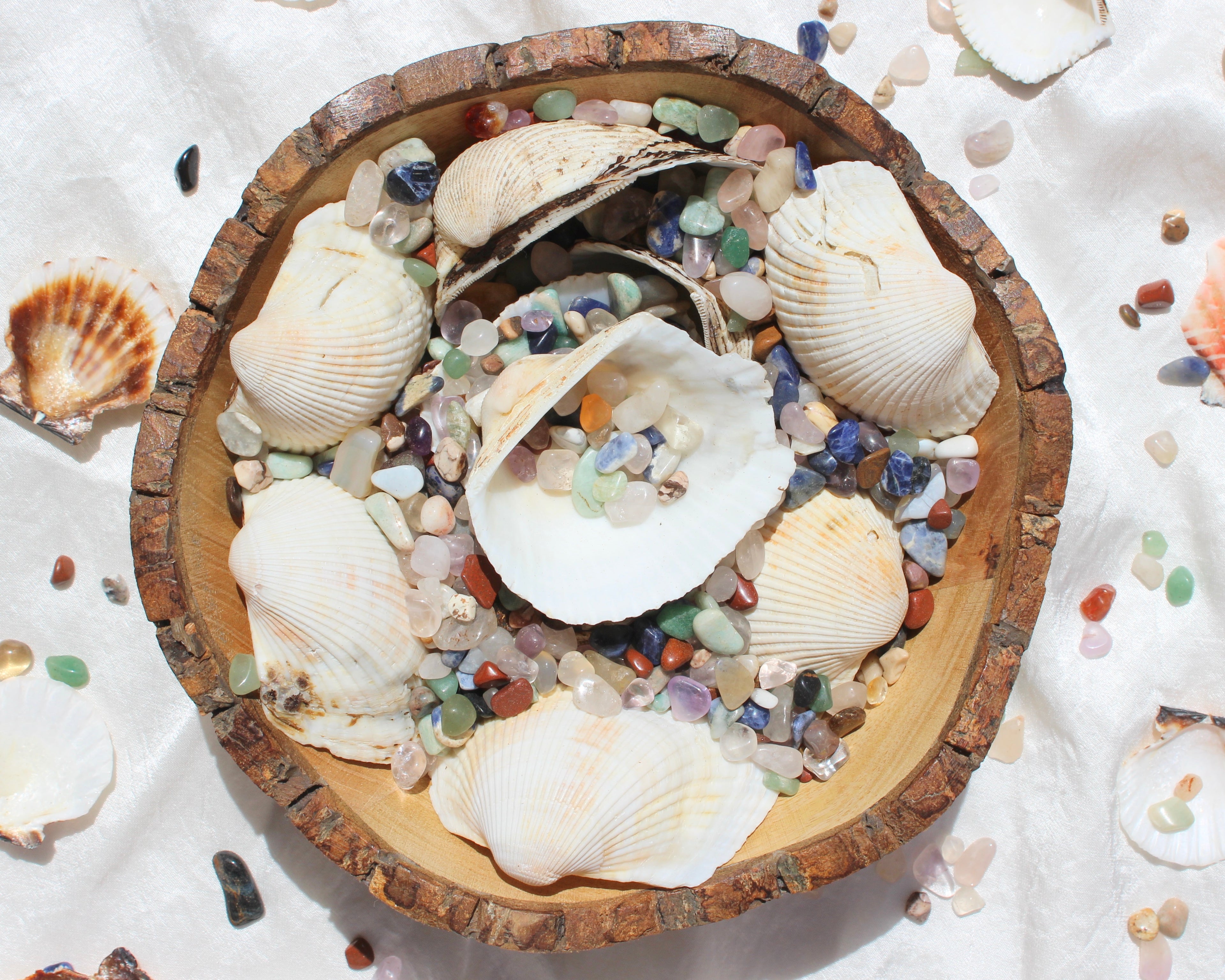 sea shells, seashells and crystals, Green Aventurine, Citrine Tumbled Stones, Crocodile Jasper Tumbled Stones, Crystal Quartz Tumbled Stones, Gold Tiger's Eye Tumbled Stones, Hematite Tumbled Stones, Lapis Lazuli Tumbled Stones, Red Jasper Tumbled Stones, Rose Quartz Tumbled Stones, Smoky Quartz Tumbled Stones, Sodalite Tumbled Stones, White Howlite Tumbled Stones, Yellow Jasper Tumbled Stones