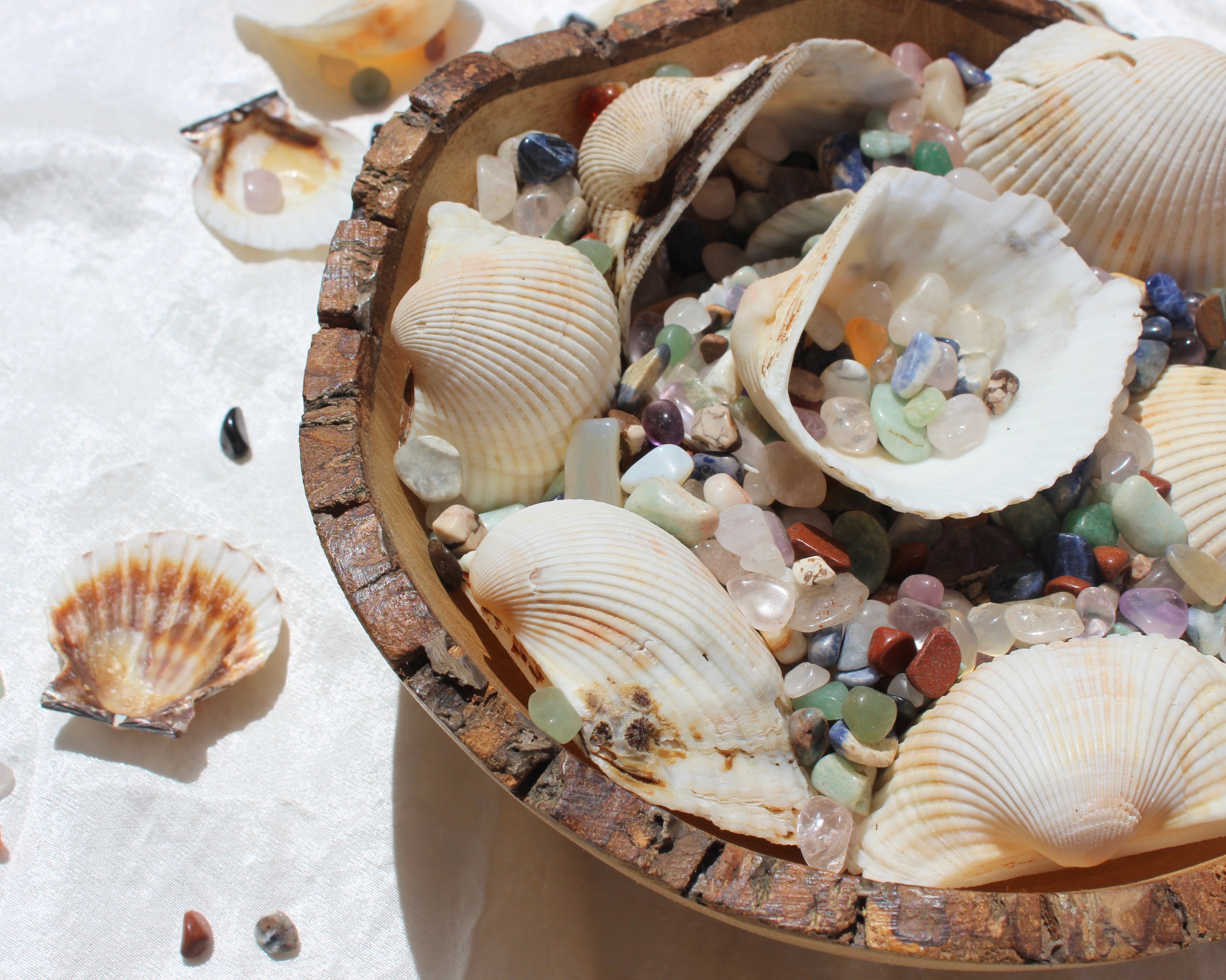sea shells, seashells and crystals, Green Aventurine, Citrine Tumbled Stones, Crocodile Jasper Tumbled Stones, Crystal Quartz Tumbled Stones, Gold Tiger's Eye Tumbled Stones, Hematite Tumbled Stones, Lapis Lazuli Tumbled Stones, Red Jasper Tumbled Stones, Rose Quartz Tumbled Stones, Smoky Quartz Tumbled Stones, Sodalite Tumbled Stones, White Howlite Tumbled Stones, Yellow Jasper Tumbled Stones