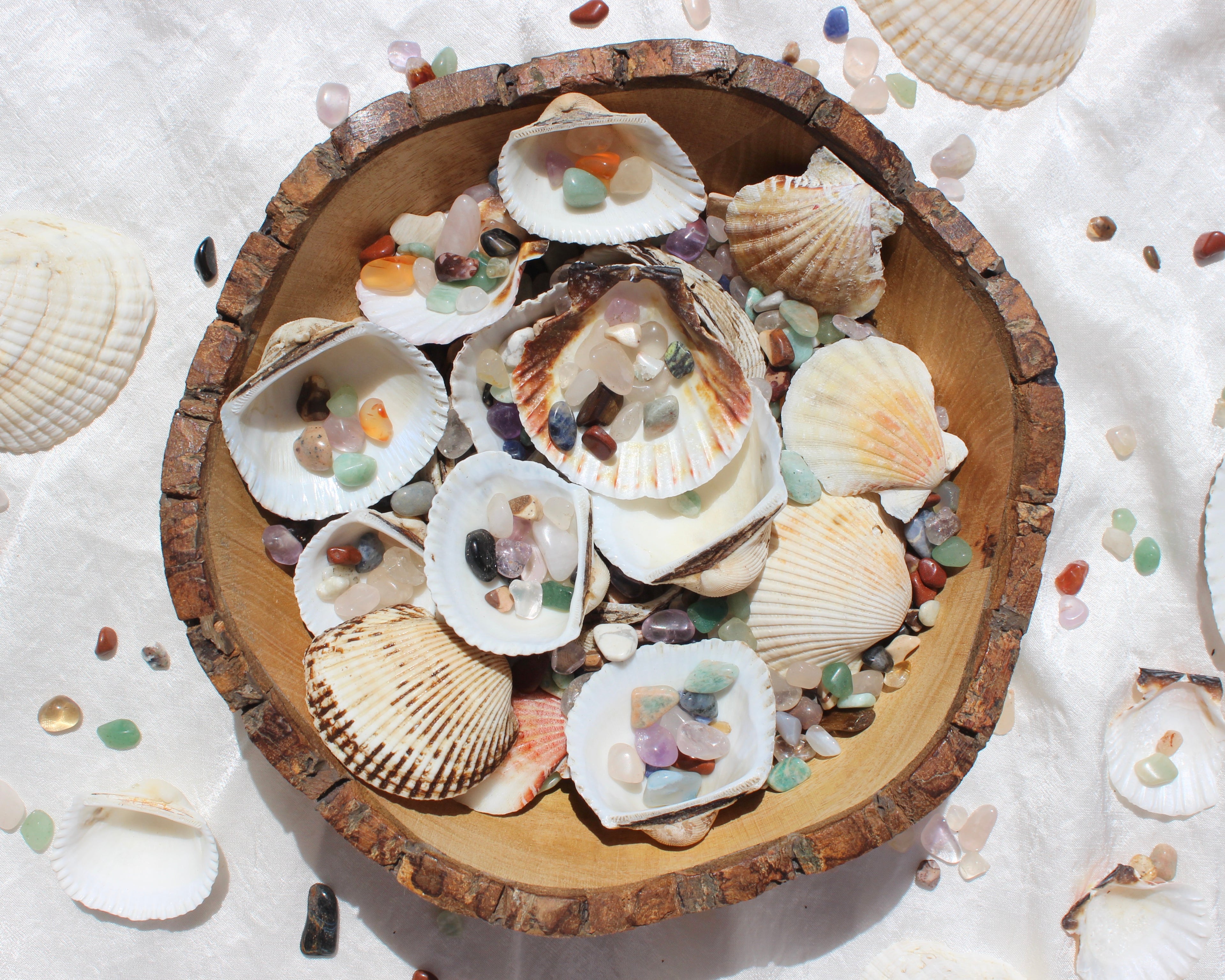 sea shells, seashells and crystals, Green Aventurine, Citrine Tumbled Stones, Crocodile Jasper Tumbled Stones, Crystal Quartz Tumbled Stones, Gold Tiger's Eye Tumbled Stones, Hematite Tumbled Stones, Lapis Lazuli Tumbled Stones, Red Jasper Tumbled Stones, Rose Quartz Tumbled Stones, Smoky Quartz Tumbled Stones, Sodalite Tumbled Stones, White Howlite Tumbled Stones, Yellow Jasper Tumbled Stones