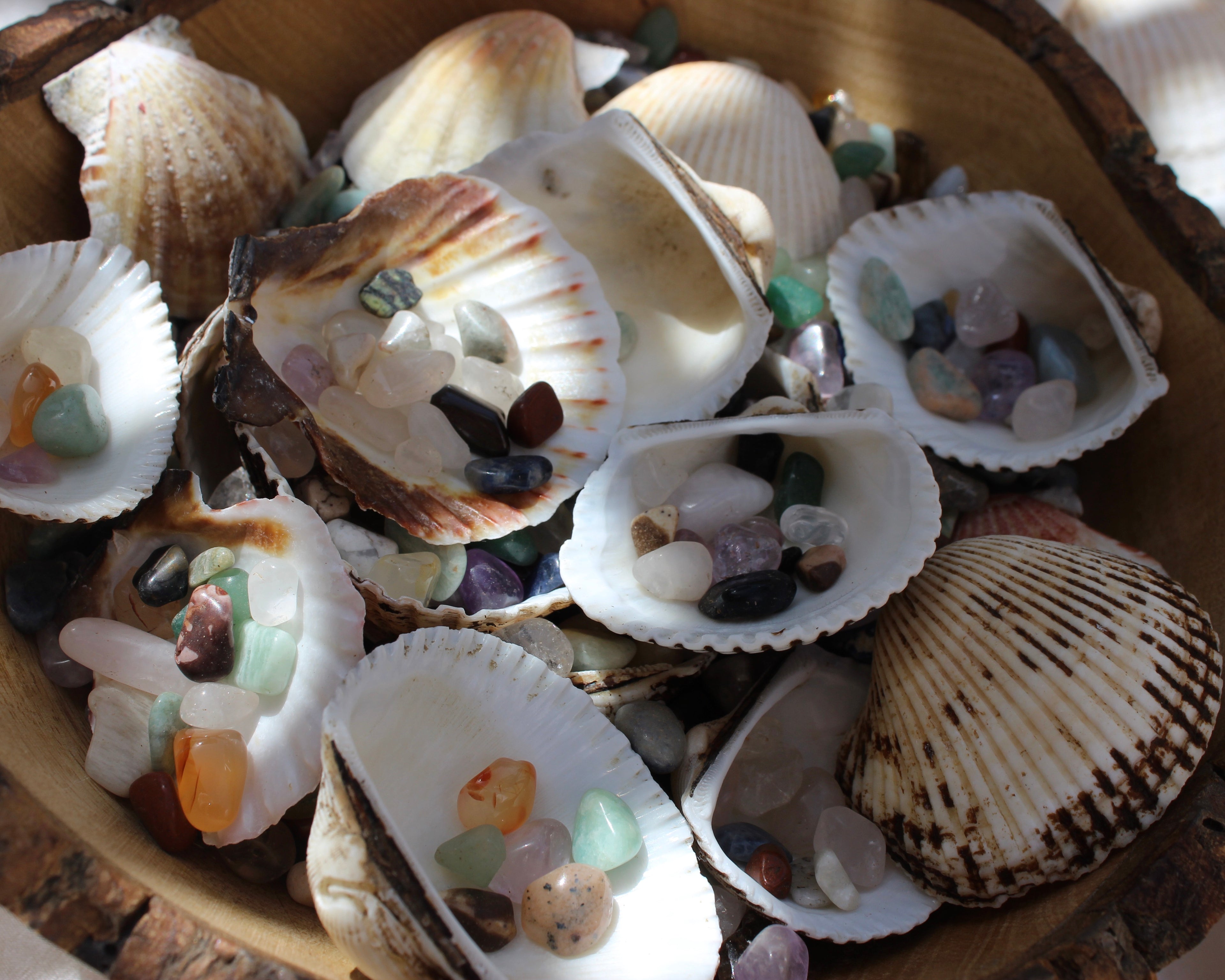 sea shells, seashells and crystals, Green Aventurine, Citrine Tumbled Stones, Crocodile Jasper Tumbled Stones, Crystal Quartz Tumbled Stones, Gold Tiger's Eye Tumbled Stones, Hematite Tumbled Stones, Lapis Lazuli Tumbled Stones, Red Jasper Tumbled Stones, Rose Quartz Tumbled Stones, Smoky Quartz Tumbled Stones, Sodalite Tumbled Stones, White Howlite Tumbled Stones, Yellow Jasper Tumbled Stones