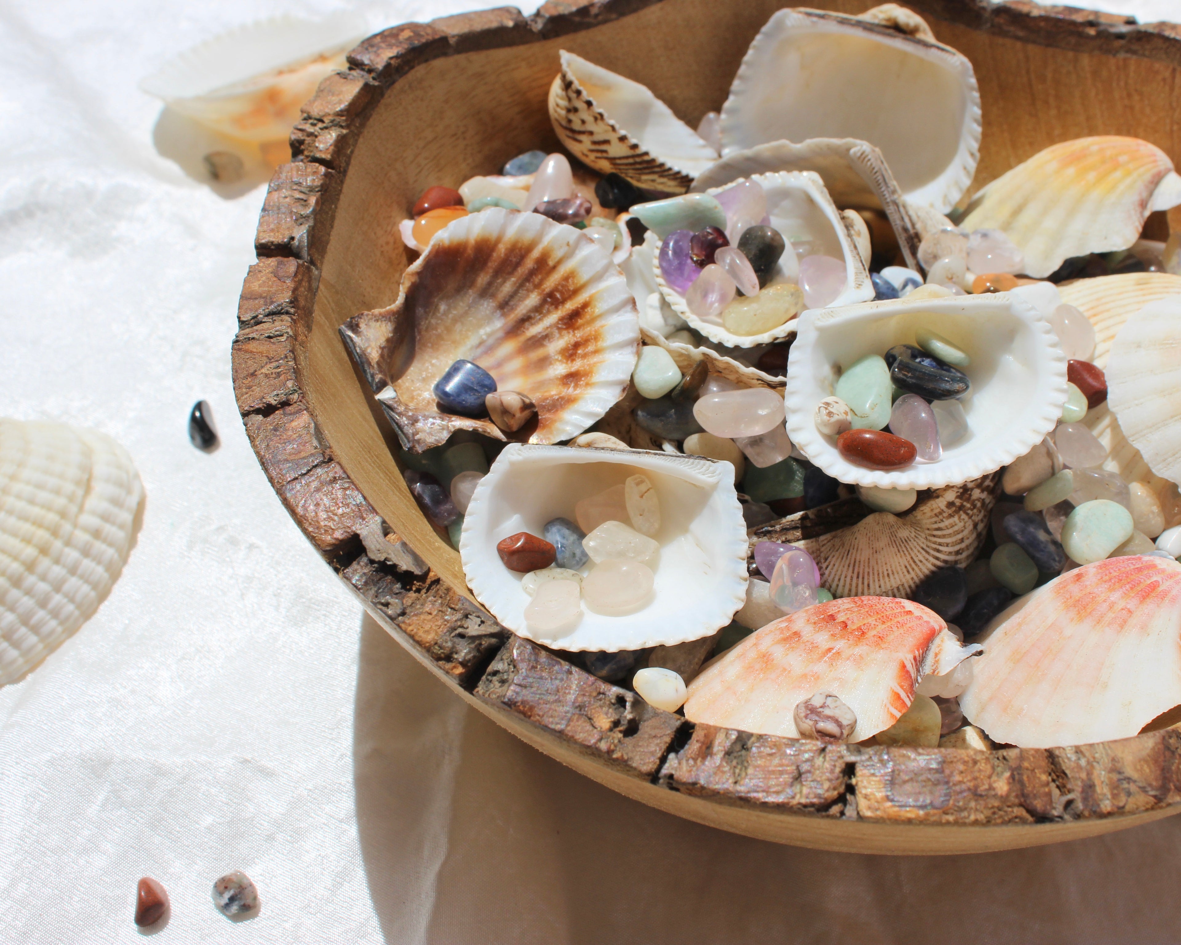 sea shells, seashells and crystals, Green Aventurine, Citrine Tumbled Stones, Crocodile Jasper Tumbled Stones, Crystal Quartz Tumbled Stones, Gold Tiger's Eye Tumbled Stones, Hematite Tumbled Stones, Lapis Lazuli Tumbled Stones, Red Jasper Tumbled Stones, Rose Quartz Tumbled Stones, Smoky Quartz Tumbled Stones, Sodalite Tumbled Stones, White Howlite Tumbled Stones, Yellow Jasper Tumbled Stones
