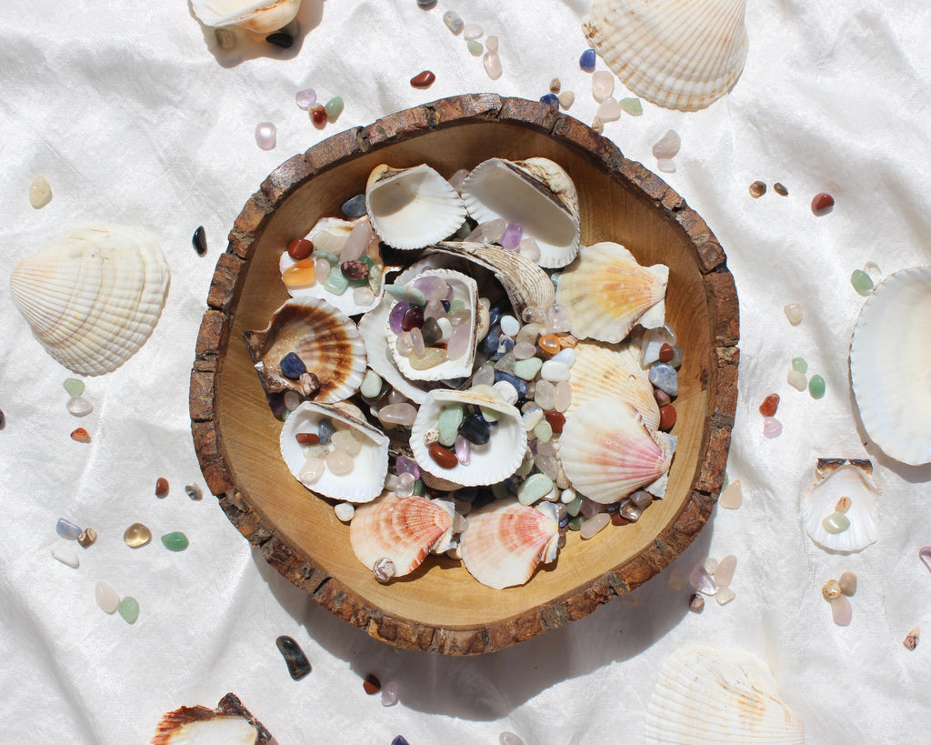 sea shells, seashells and crystals, Green Aventurine, Citrine Tumbled Stones, Crocodile Jasper Tumbled Stones, Crystal Quartz Tumbled Stones, Gold Tiger's Eye Tumbled Stones, Hematite Tumbled Stones, Lapis Lazuli Tumbled Stones, Red Jasper Tumbled Stones, Rose Quartz Tumbled Stones, Smoky Quartz Tumbled Stones, Sodalite Tumbled Stones, White Howlite Tumbled Stones, Yellow Jasper Tumbled Stones