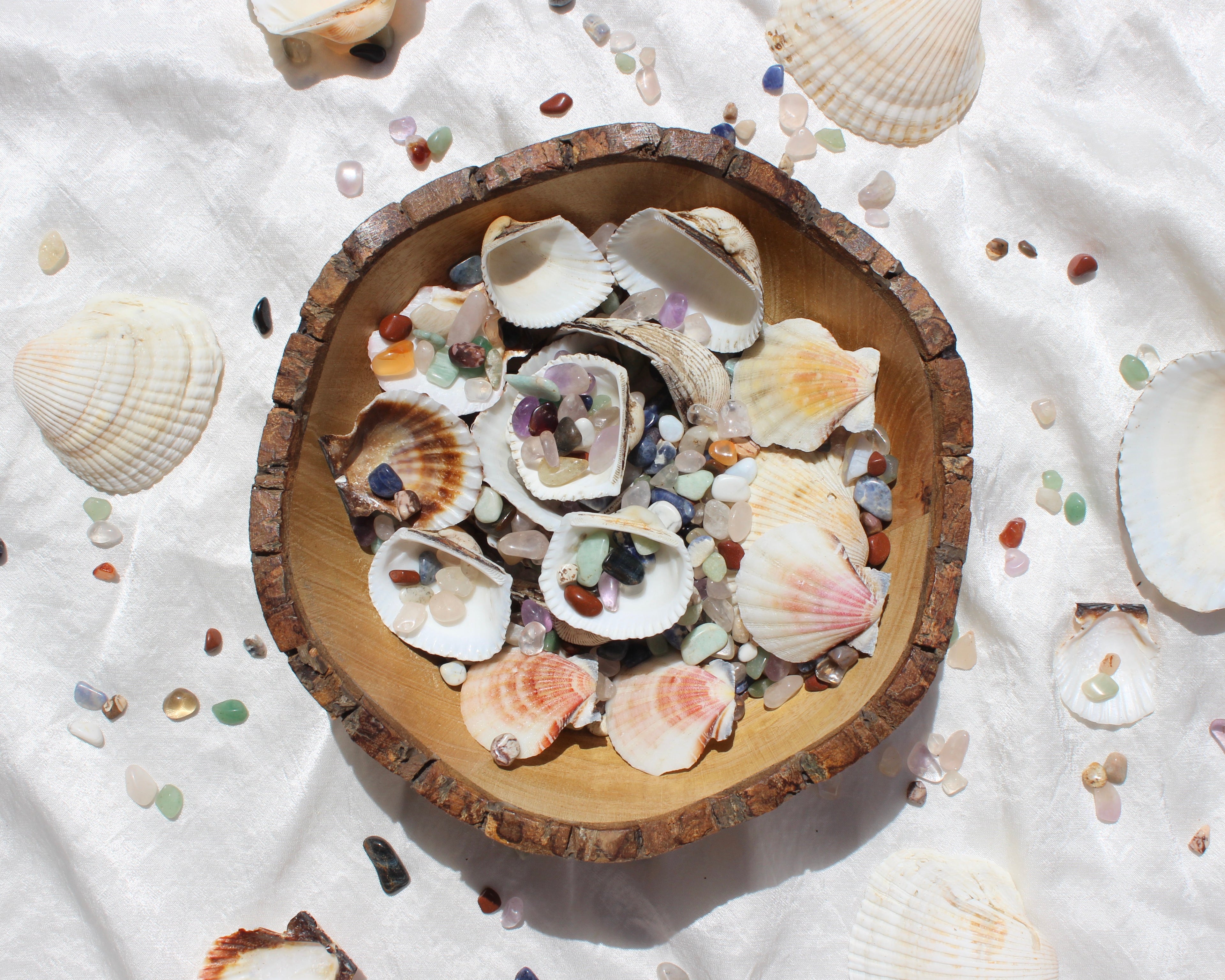 sea shells, seashells and crystals, Green Aventurine, Citrine Tumbled Stones, Crocodile Jasper Tumbled Stones, Crystal Quartz Tumbled Stones, Gold Tiger's Eye Tumbled Stones, Hematite Tumbled Stones, Lapis Lazuli Tumbled Stones, Red Jasper Tumbled Stones, Rose Quartz Tumbled Stones, Smoky Quartz Tumbled Stones, Sodalite Tumbled Stones, White Howlite Tumbled Stones, Yellow Jasper Tumbled Stones