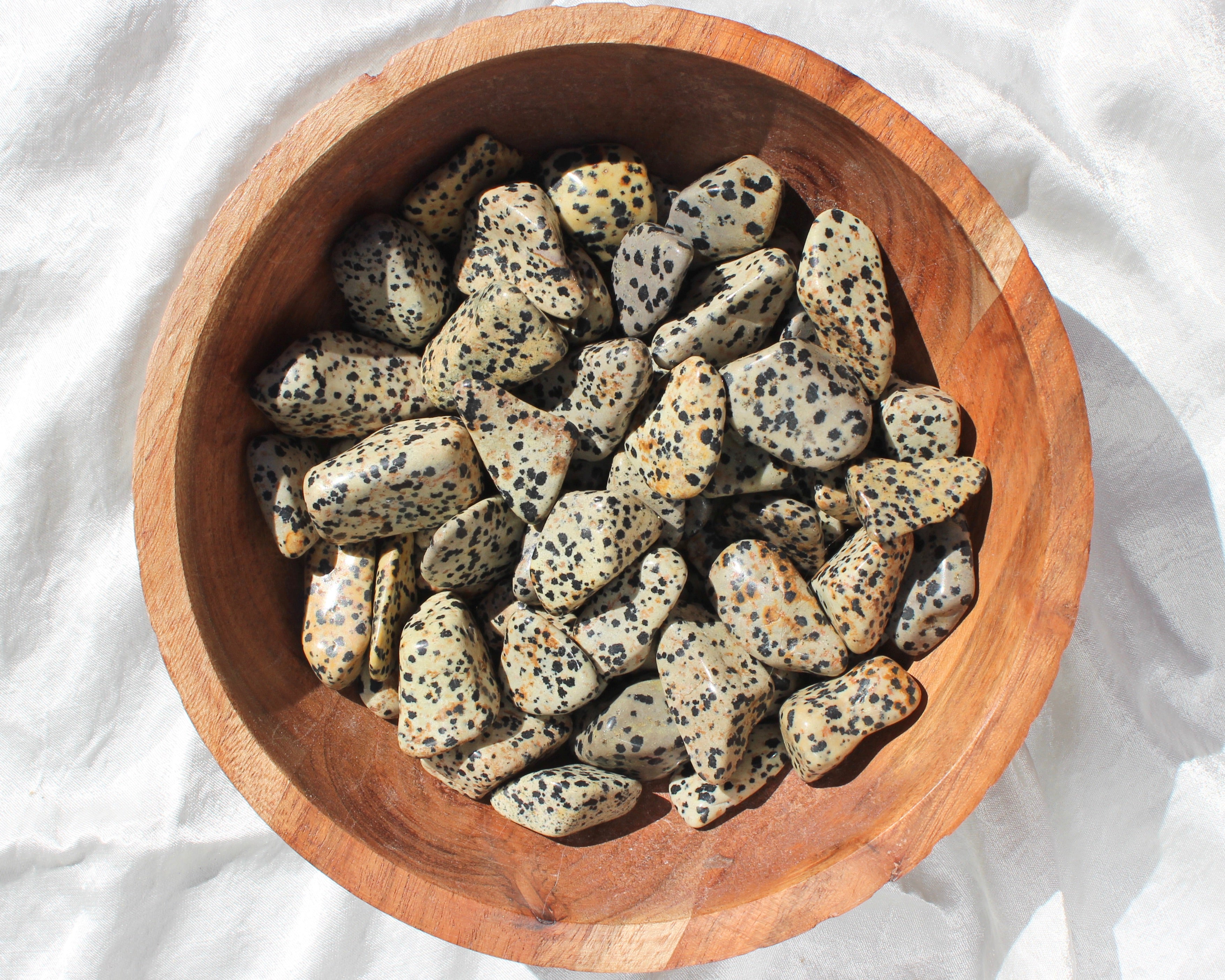 Dalmatian Jasper Tumbled Stones