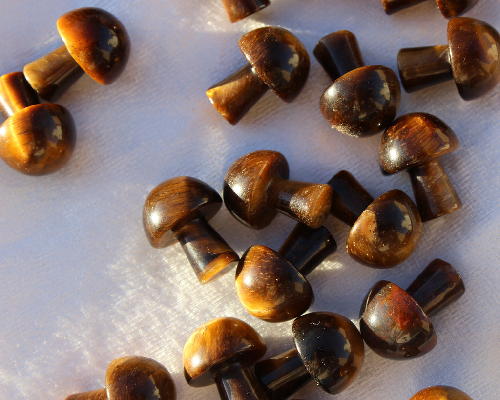 Gold Tigers Eye Mushrooms, Gold Tigers eye, Crystal Mushrooms, Crystal Shop