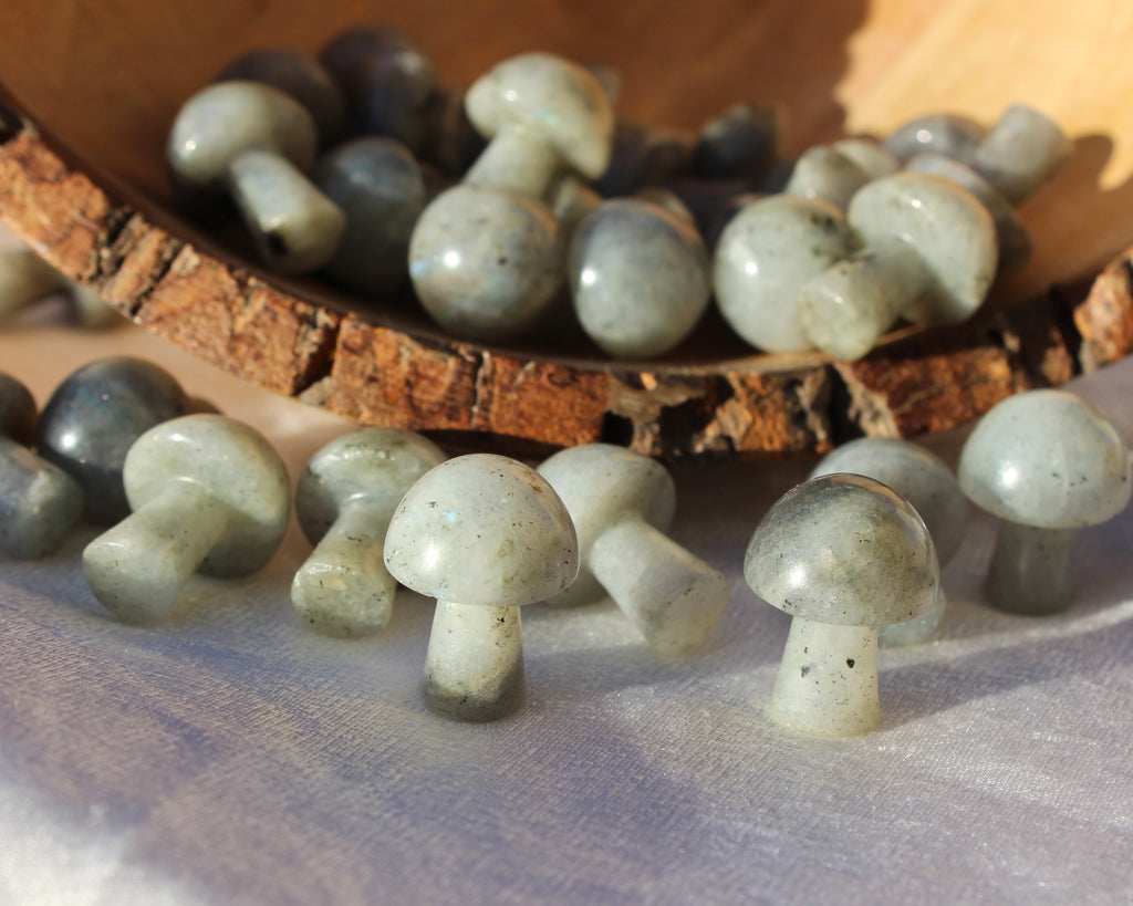 Labradorite Mushrooms, Labradorite, Crystal Mushrooms, Crystal Shop