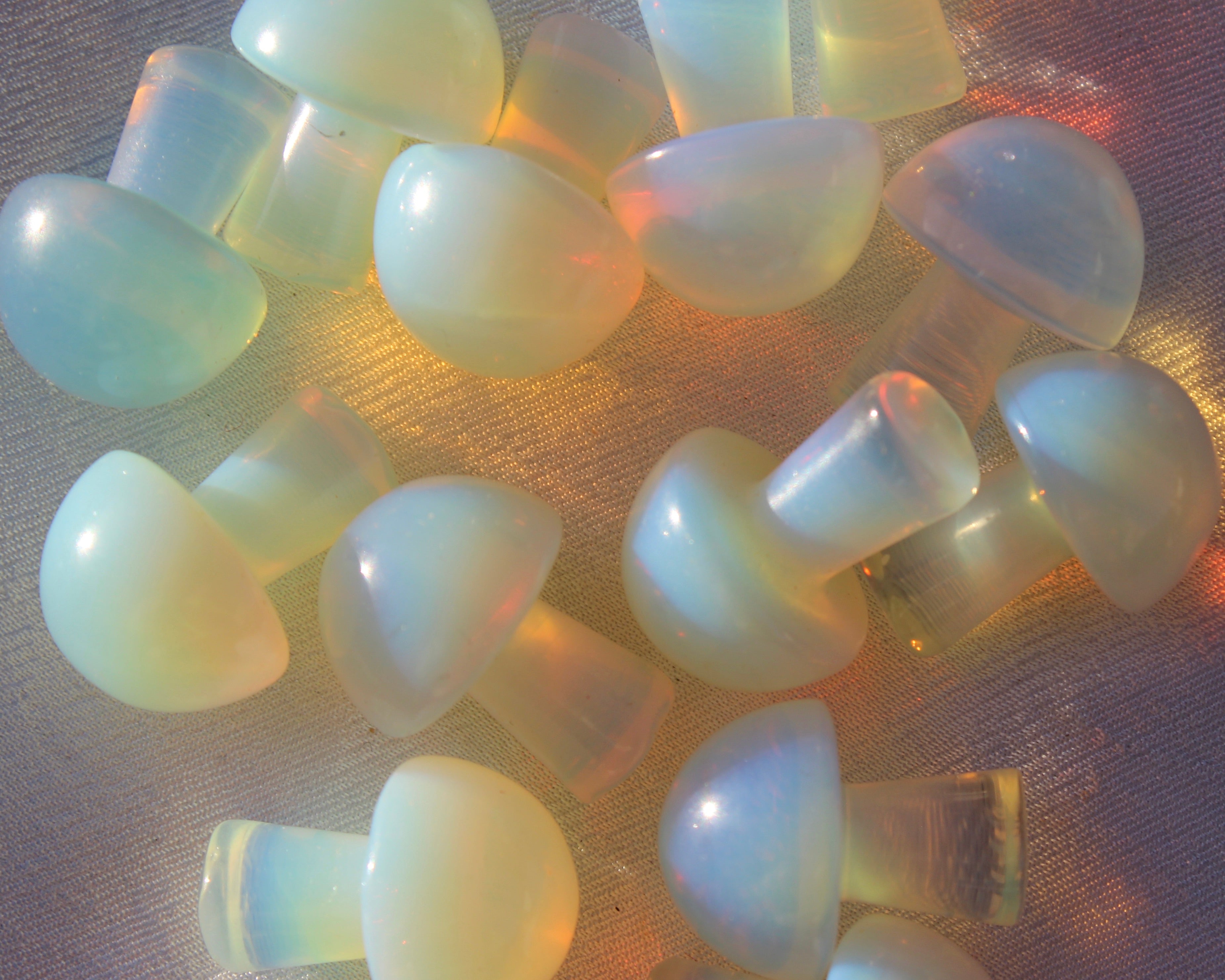 Opalite Mushrooms