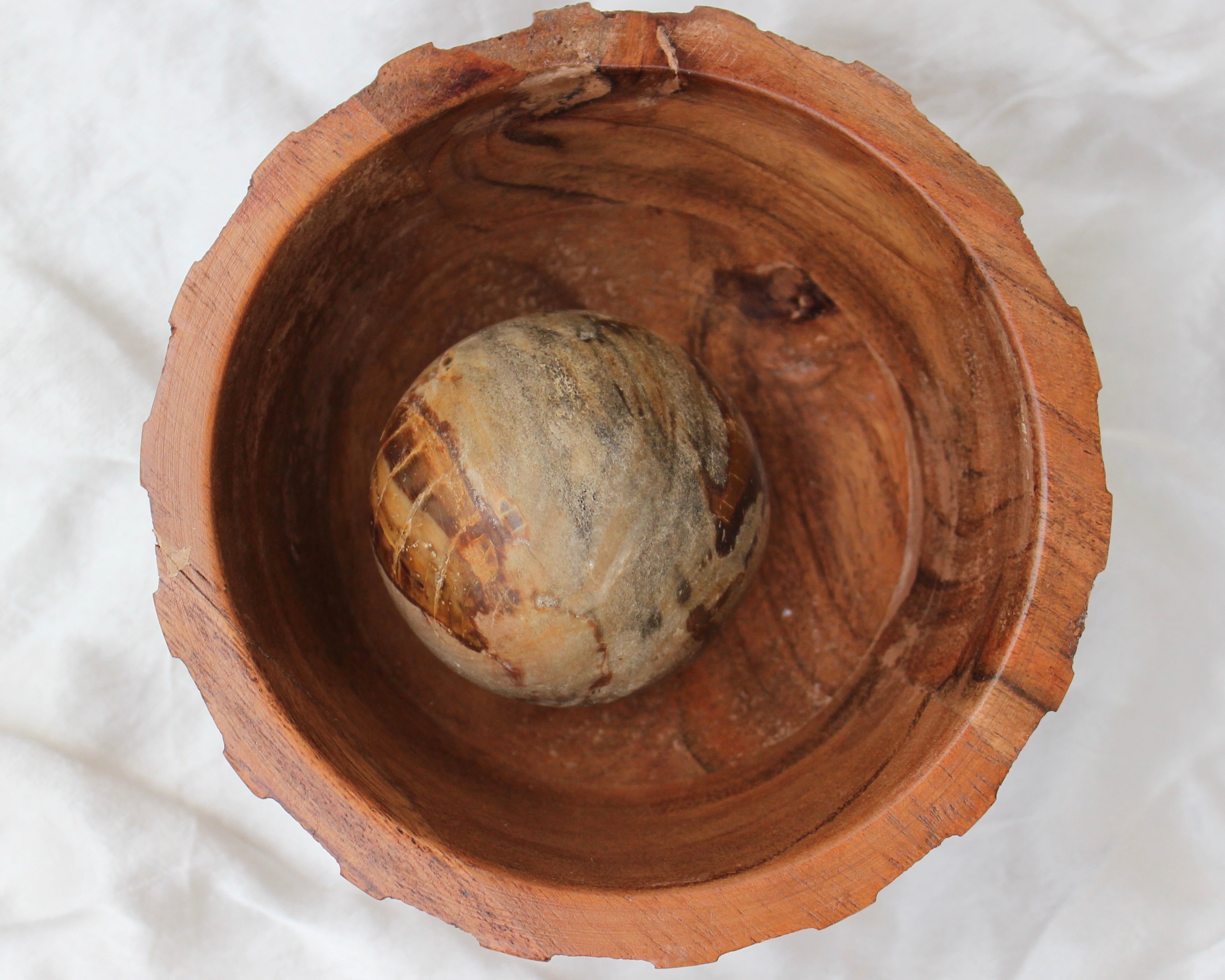 Petrified wood, Petrified Crystals, Petrified Wood Spheres, Crystal Shop, Online Crystals Shop DeadNova, TikTok Crystals Shop