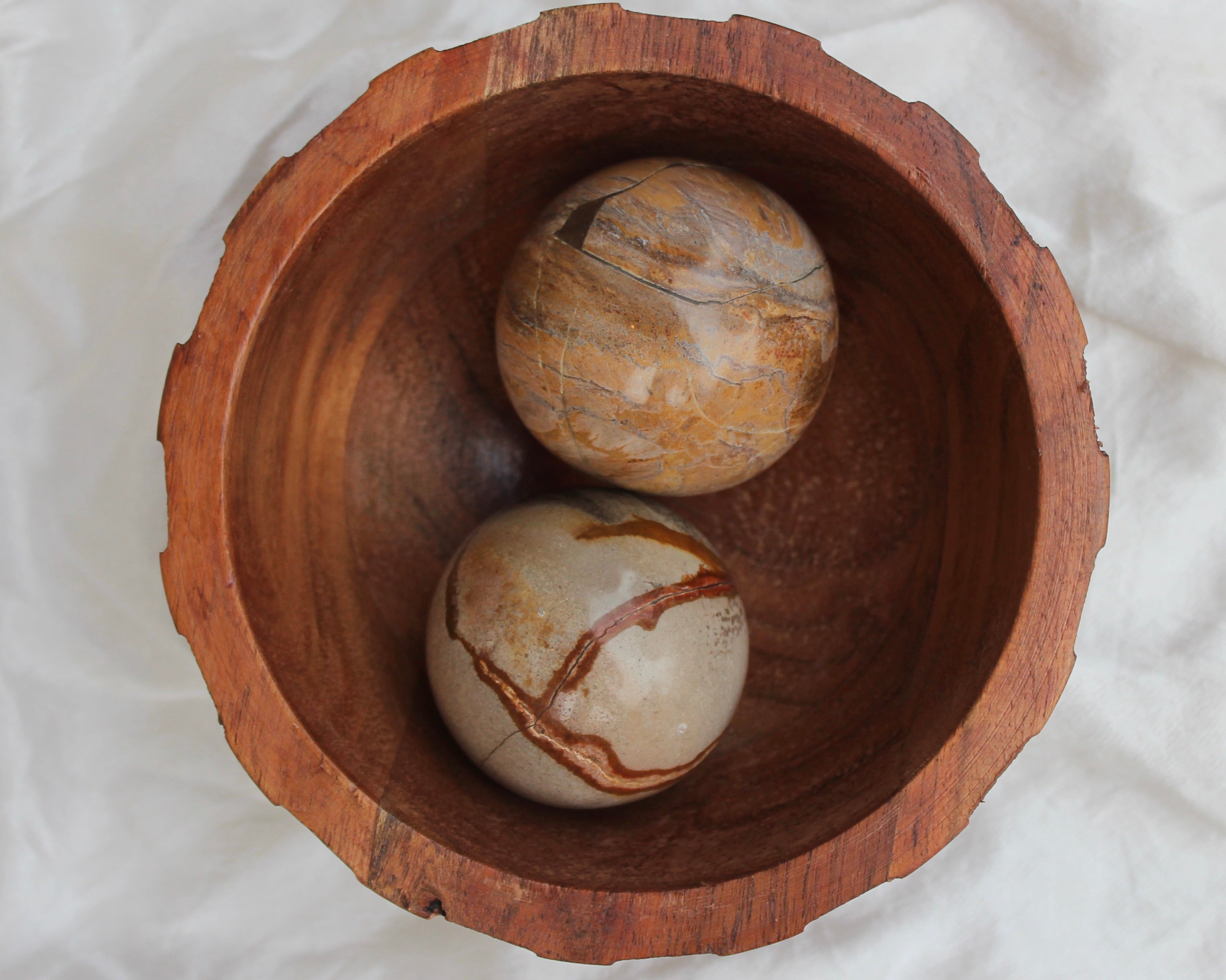 Petrified wood, Petrified Crystals, Petrified Wood Spheres, Crystal Shop, Online Crystals Shop DeadNova, TikTok Crystals Shop