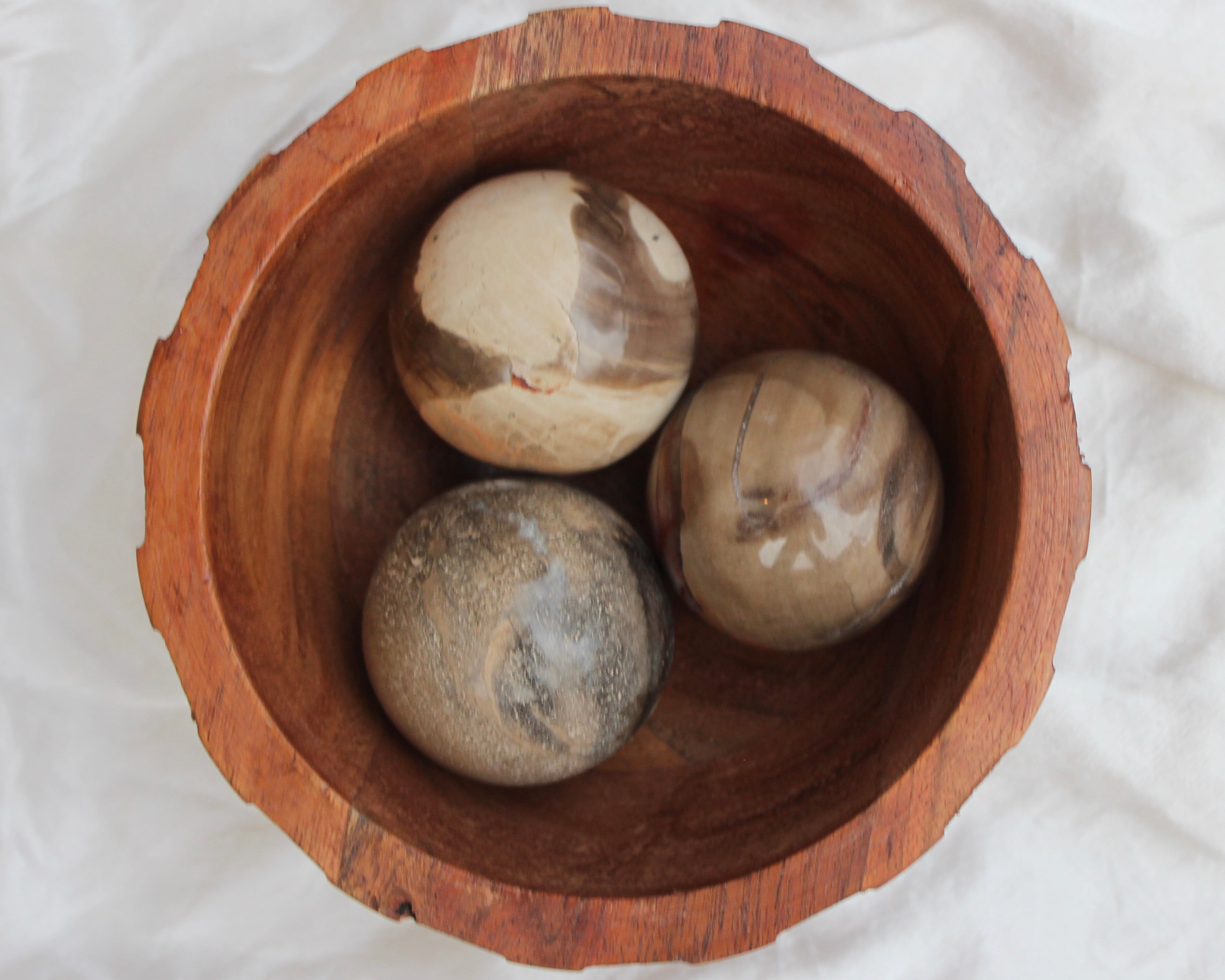 Petrified wood, Petrified Crystals, Petrified Wood Spheres, Crystal Shop, Online Crystals Shop DeadNova, TikTok Crystals Shop