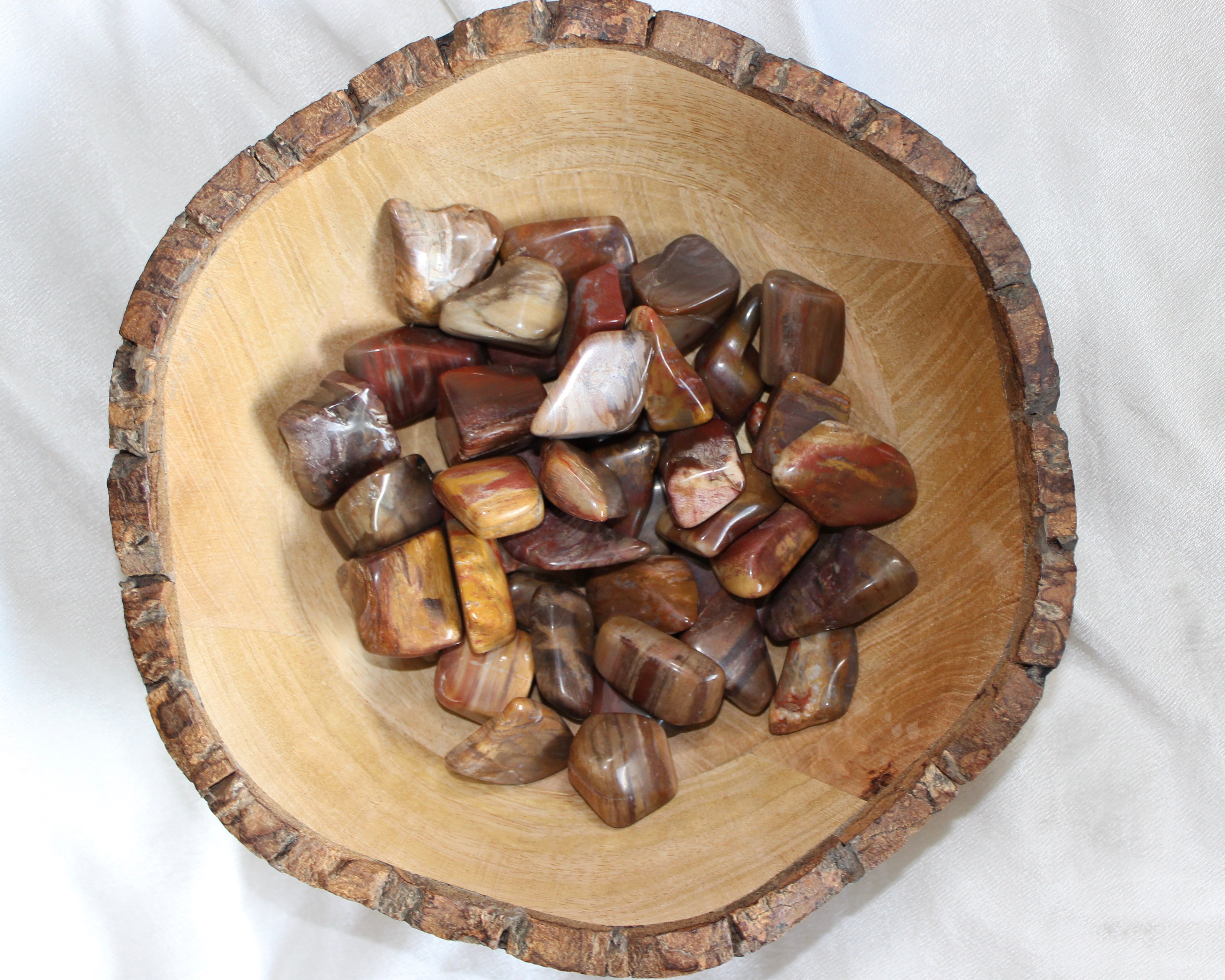 Petrified wood, Crystals for strength, Crystals for healing, Crystal Shop, Online Crystals Shop DeadNova, TikTok Crystals Shop